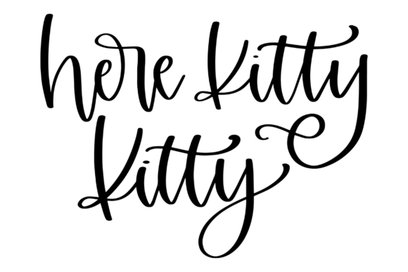 Here Kitty Kitty